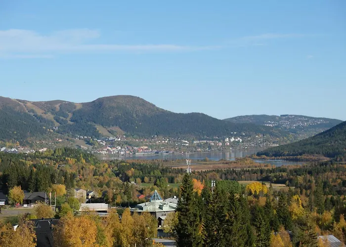 Pensionat Mullfjället