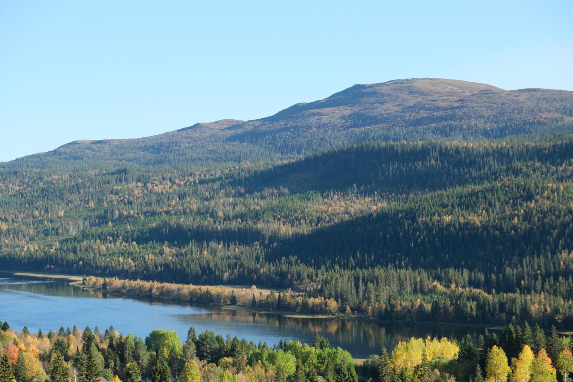 Mullfjället 2* Duved