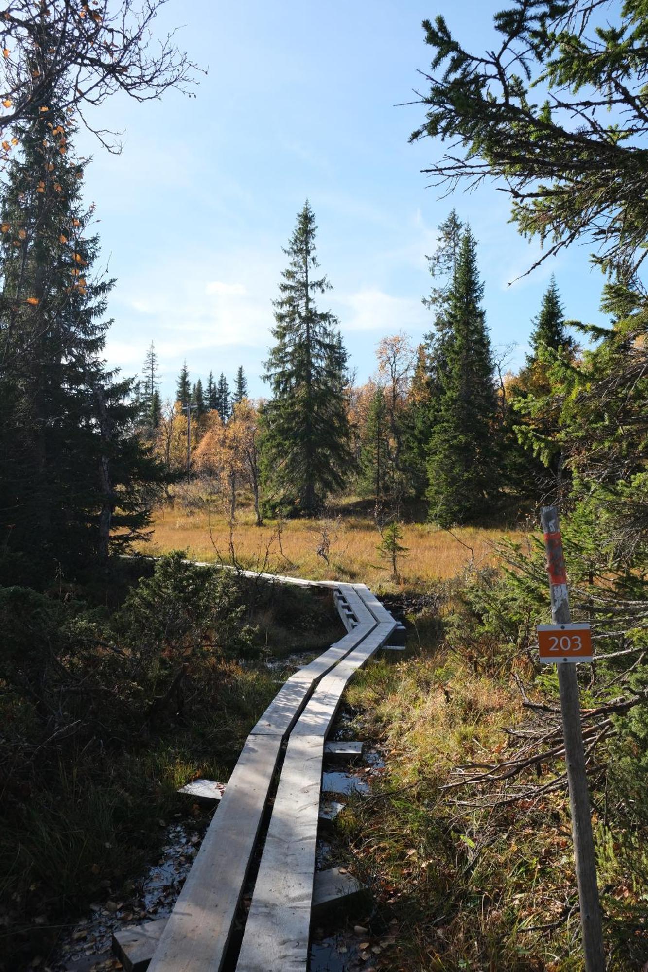 Värdshus Mullfjället Duved