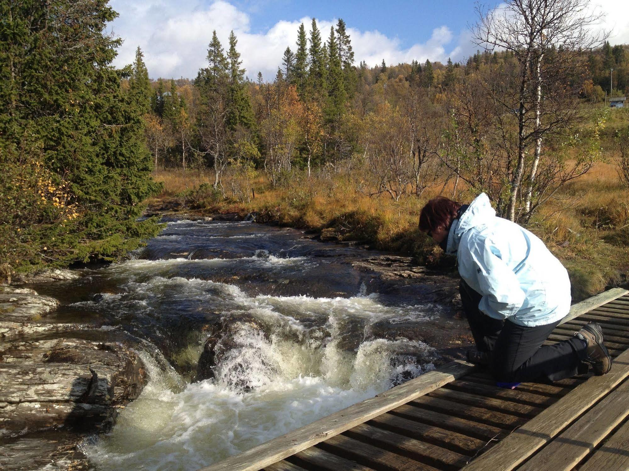 Mullfjället