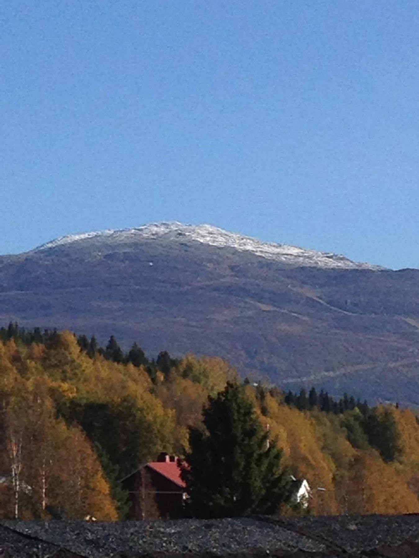 Mullfjället Duved