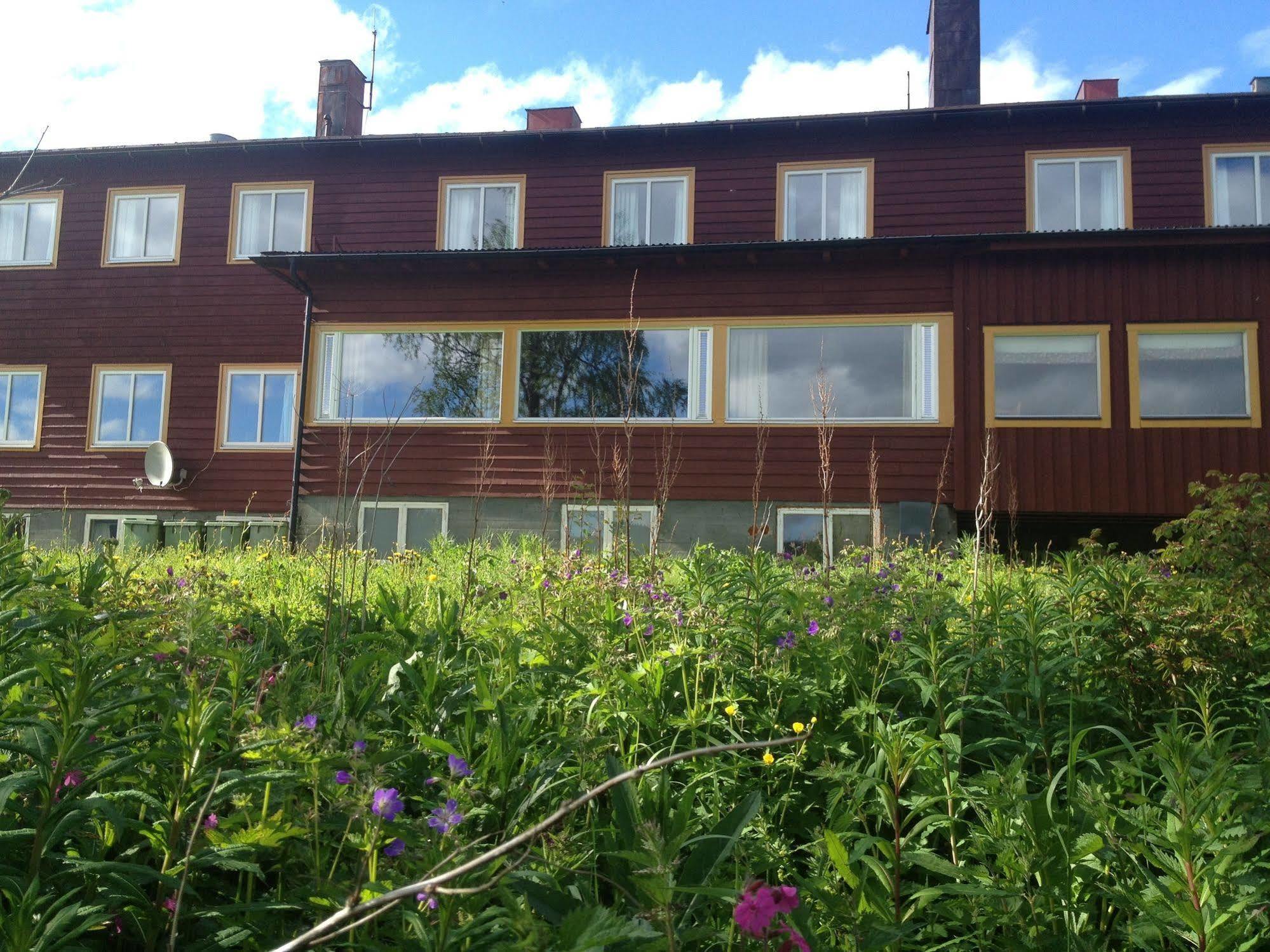 Mullfjället Duved