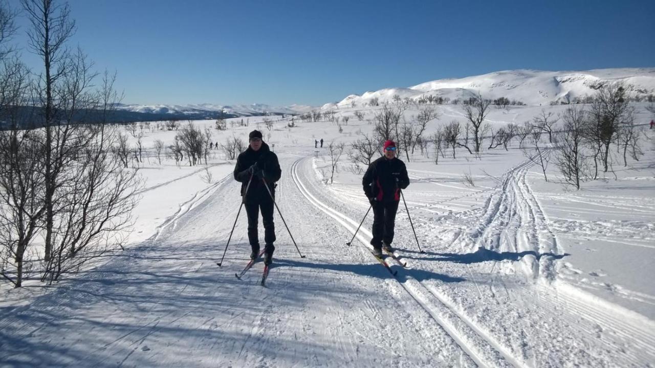 Mullfjället 2*